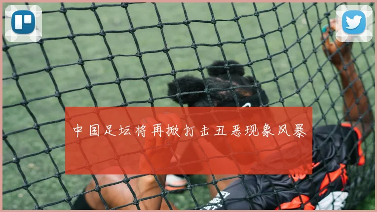 中国足坛将再掀打击丑恶现象风暴